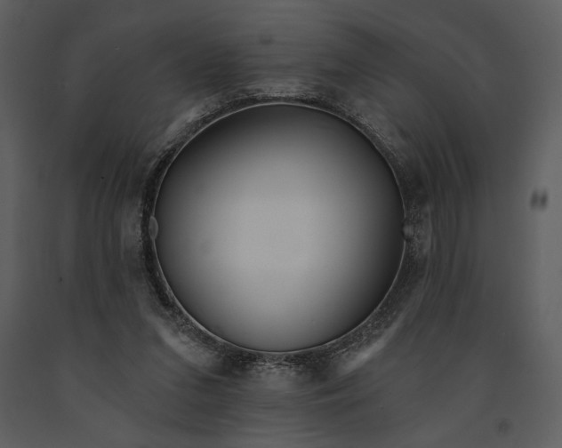 X0000090950207200708241137