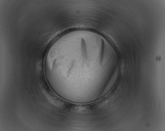 X0000090950208200708241137
