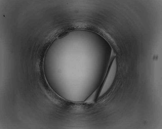 X0000090950209200708241137
