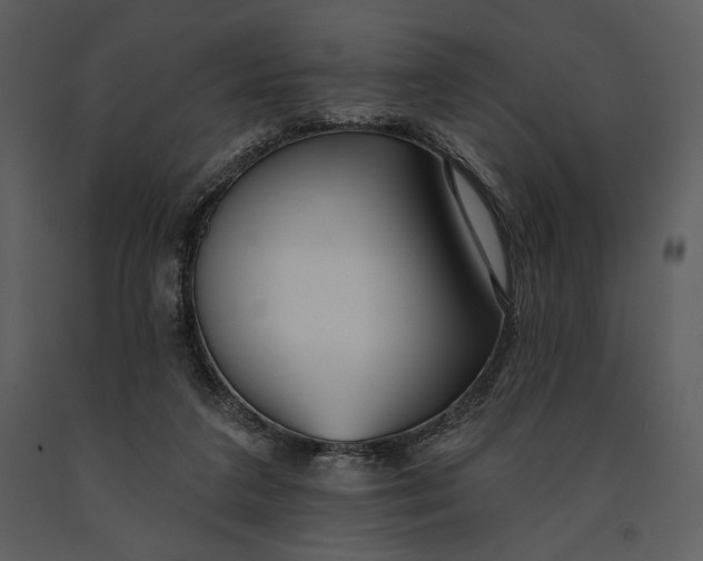 X0000090950211200708241137