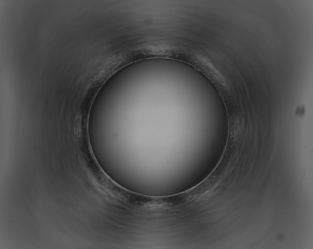 X0000090950213200708241137