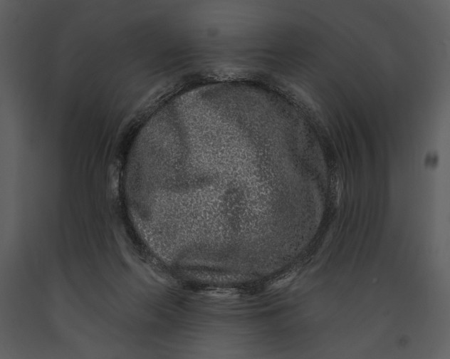 X0000090950214200708241137