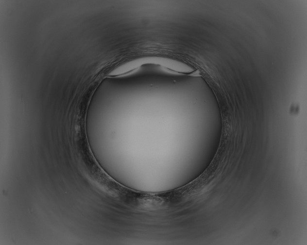 X0000090950215200708241137