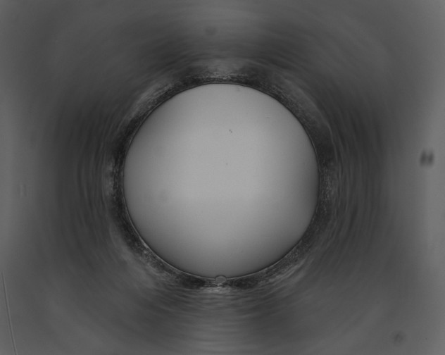 X0000090950216200708241137