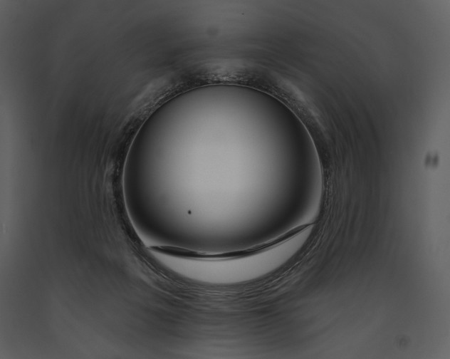 X0000090950217200708241137
