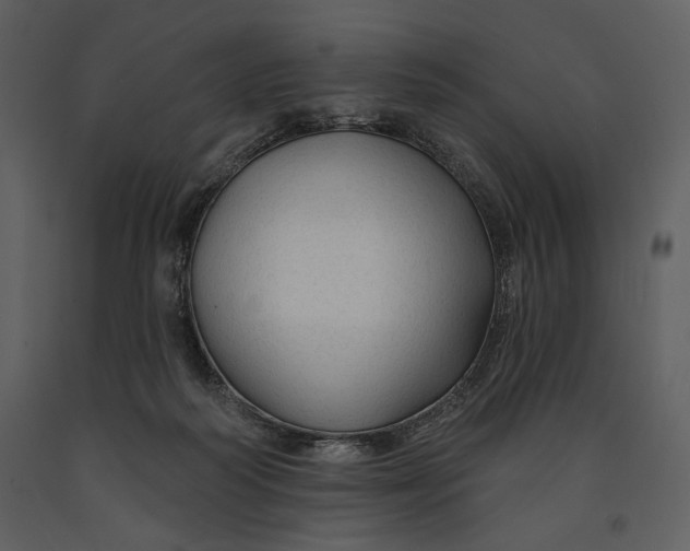 X0000090950218200708241137