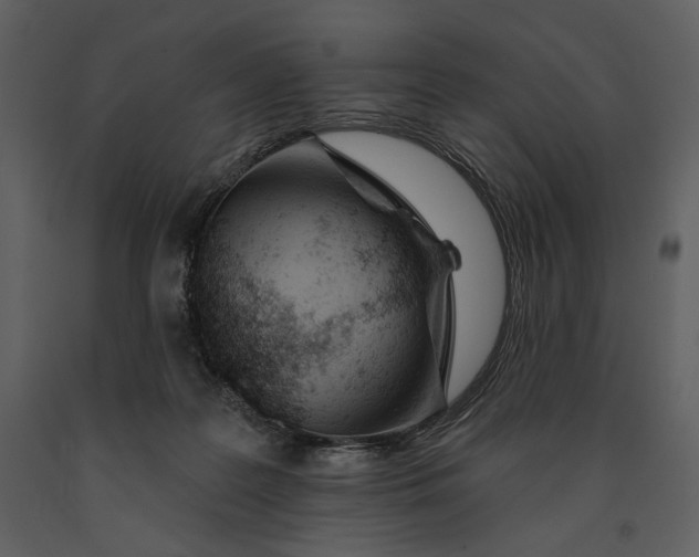 X0000090950219200708241137