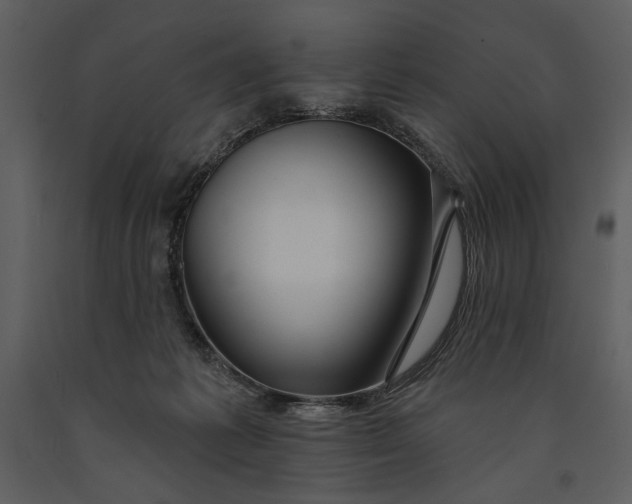 X0000090950221200708241136