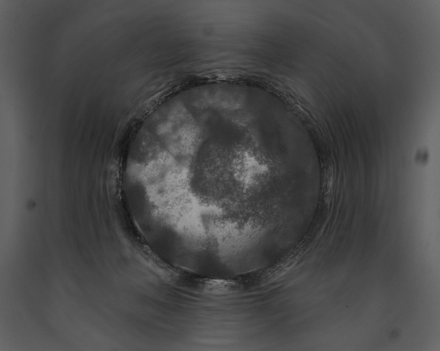 X0000090950222200708241136