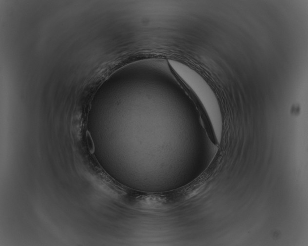 X0000090950223200708241136