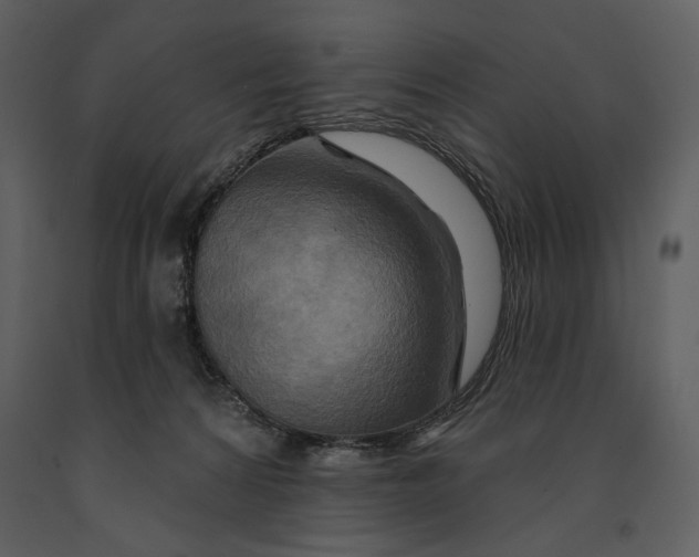 X0000090950224200708241136