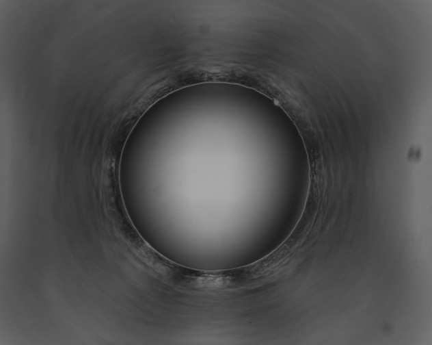 X0000090950225200708241136