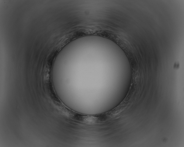 X0000090950226200708241136