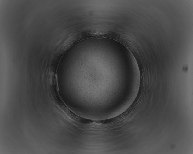 X0000090950227200708241136