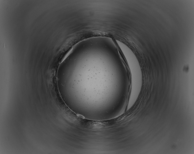 X0000090950229200708241136