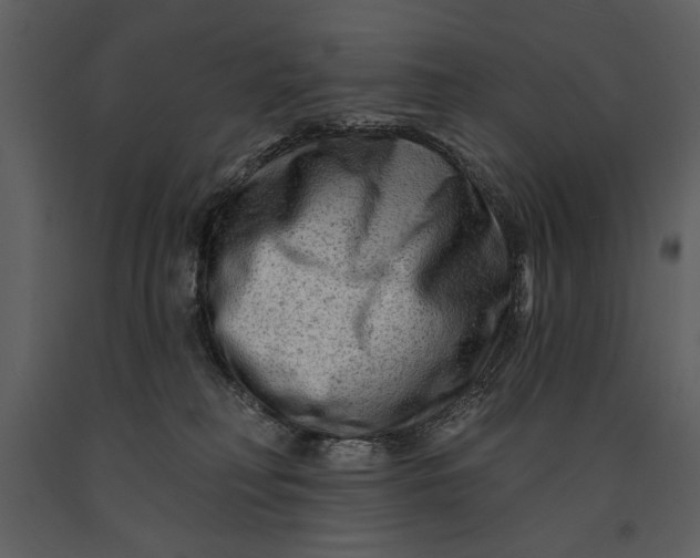 X0000090950230200708241136