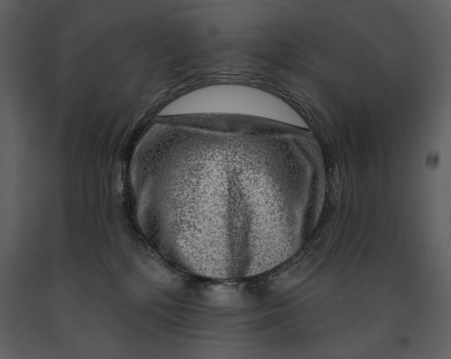 X0000090950232200708241136