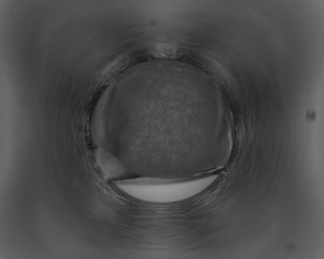 X0000090950233200708241136