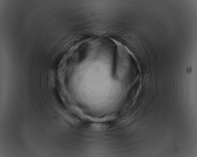 X0000090950234200708241136