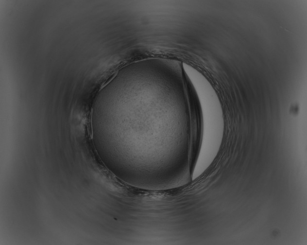 X0000090950235200708241136