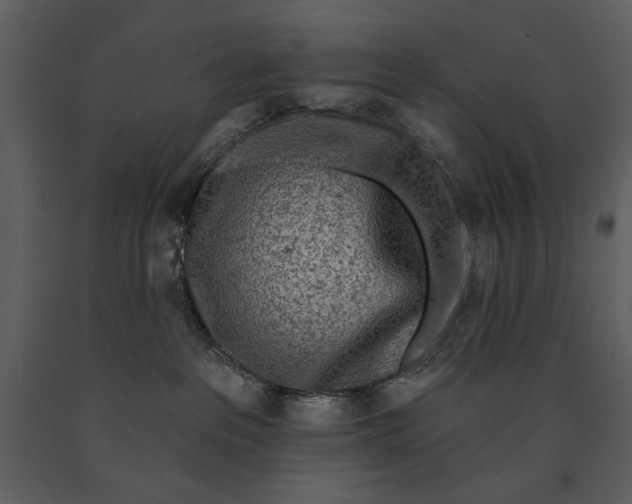 X0000090950237200708241136