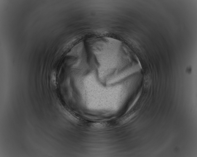 X0000090950238200708241136