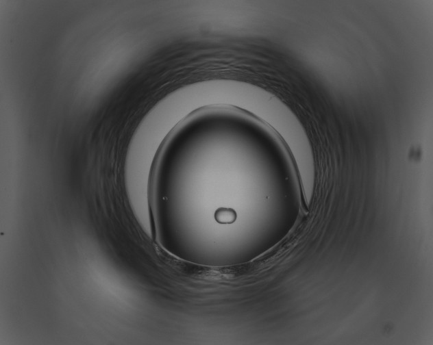 X0000090950239200708241136