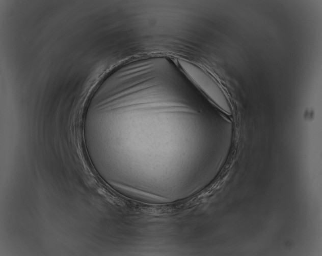 X0000090950241200708241136