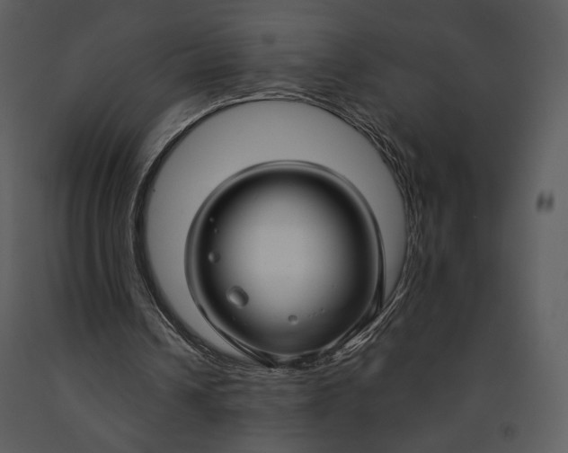 X0000090950242200708241136