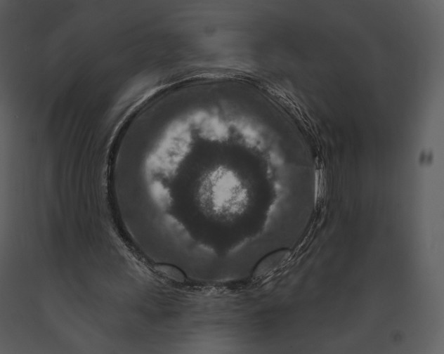 X0000090950243200708241136