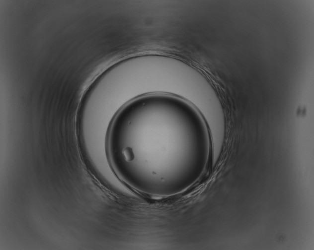 X0000090950244200708241136
