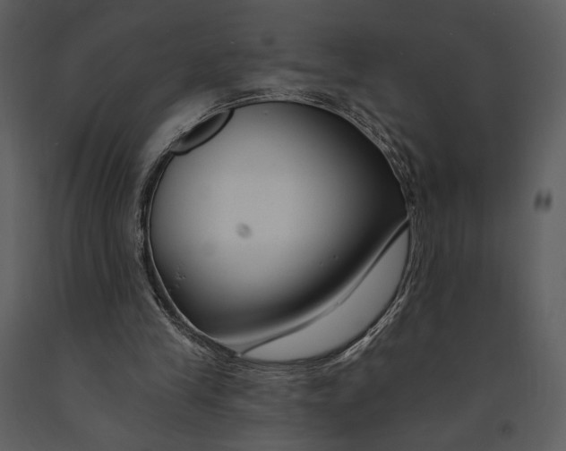 X0000090950245200708241136
