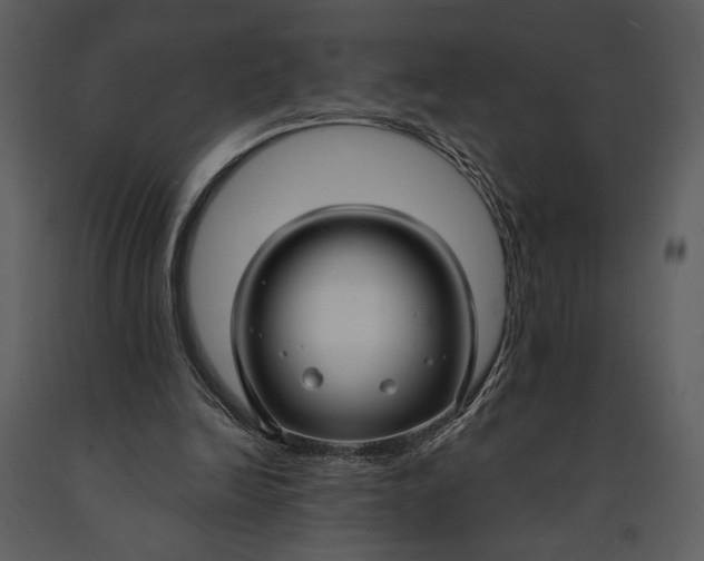 X0000090950246200708241136