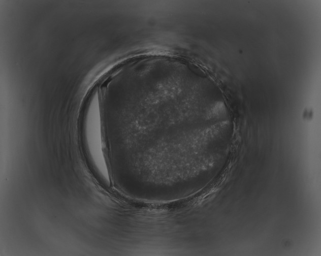 X0000090950247200708241136