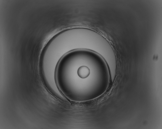 X0000090950248200708241136