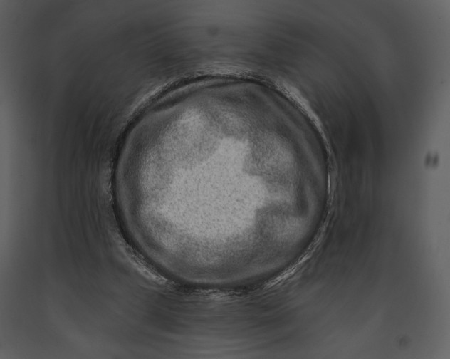 X0000090950249200708241136
