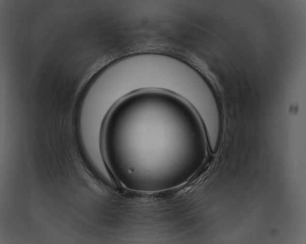 X0000090950250200708241136