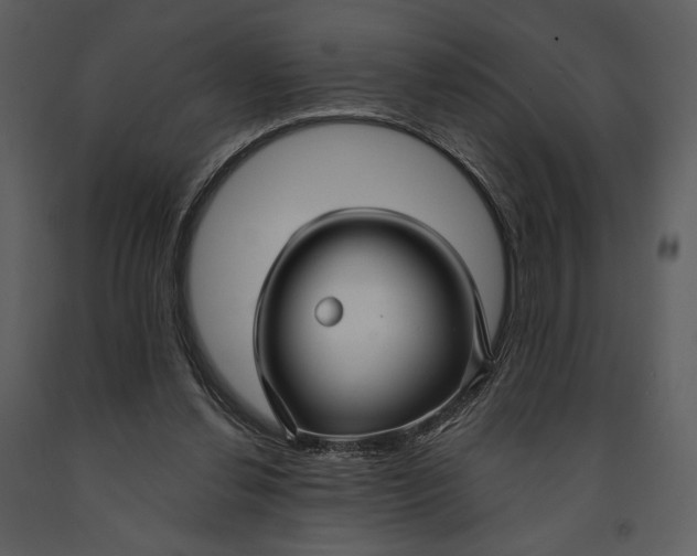 X0000090950252200708241136