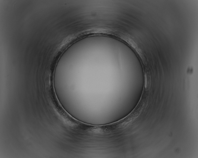 X0000090950253200708241136