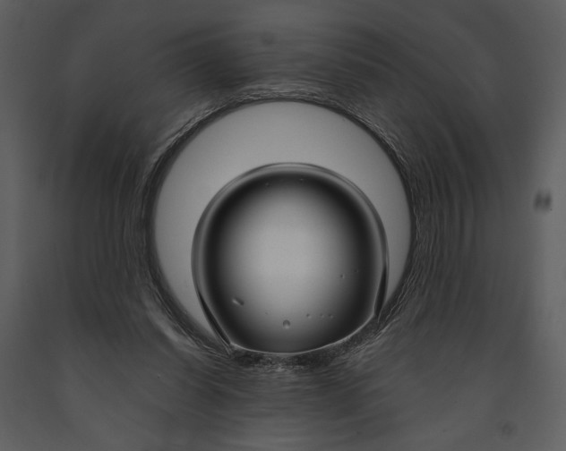 X0000090950254200708241136