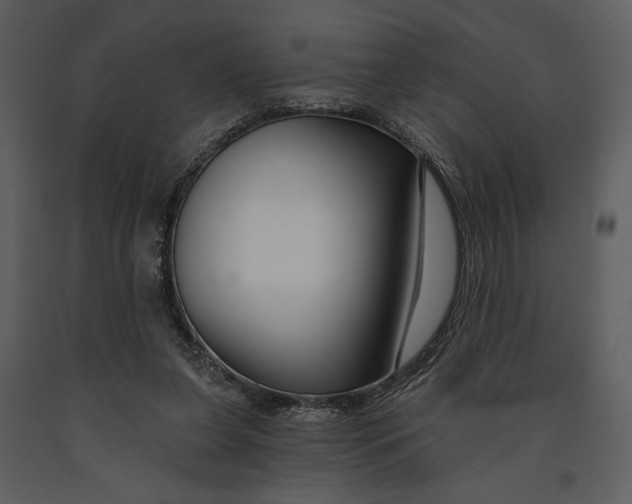 X0000090950255200708241136