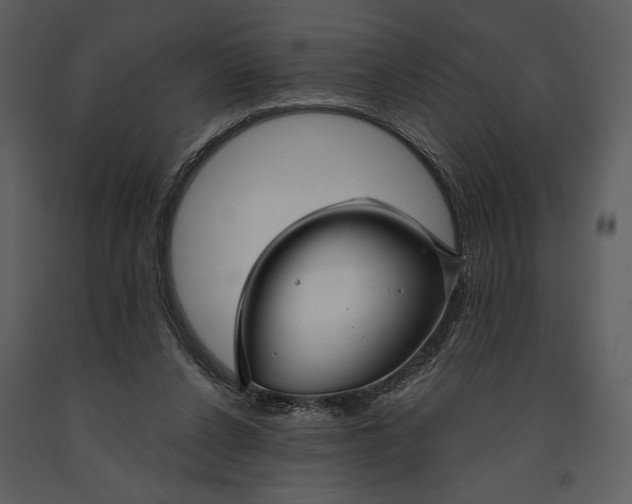 X0000090950256200708241136