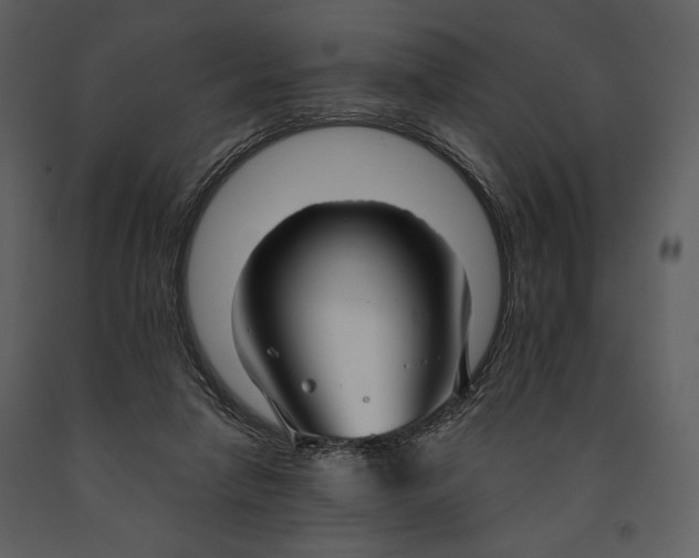 X0000090950258200708241136