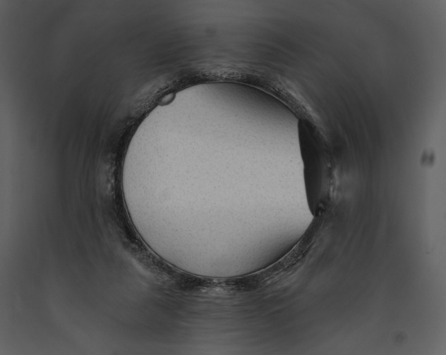 X0000090950259200708241136