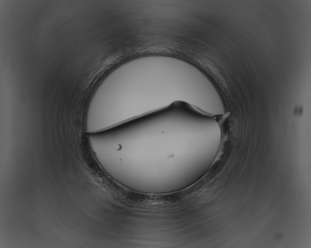 X0000090950260200708241136