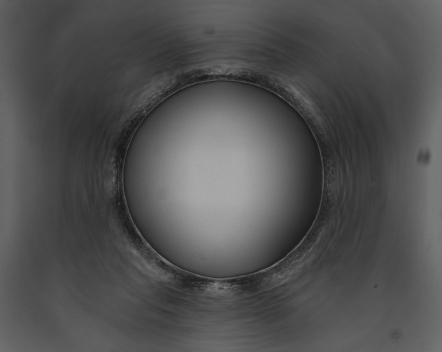 X0000090950261200708241136