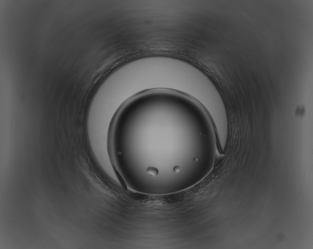 X0000090950262200708241136