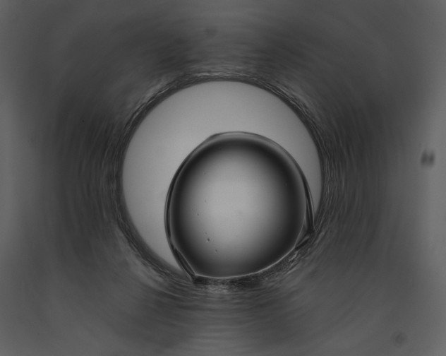 X0000090950264200708241136