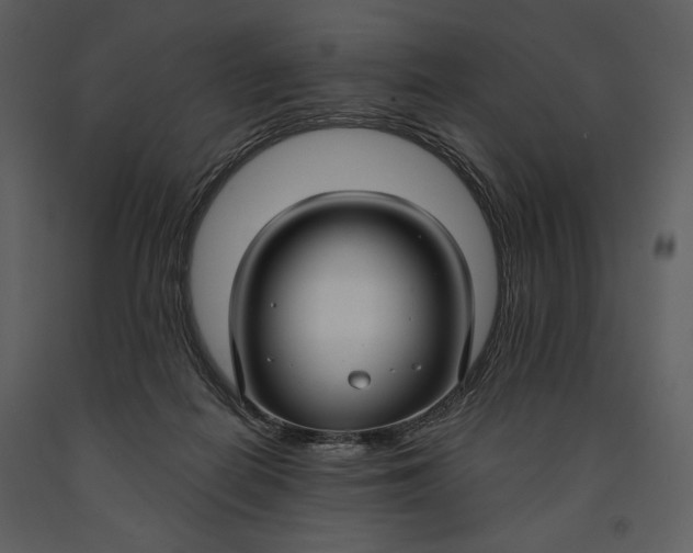X0000090950266200708241136