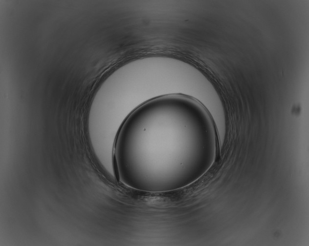 X0000090950268200708241136